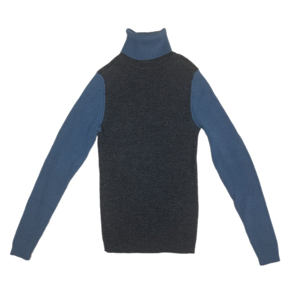 Gap Merino Wool Turtleneck Top